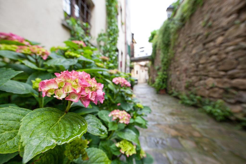 San Michele Al Borgo Bed & Breakfast Castiglion Fiorentino Ngoại thất bức ảnh
